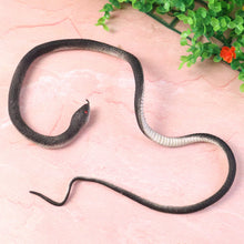Realistic Rubber Snake Prank Toy (1 Pc) - justgrabit.in | Just Grab It