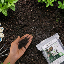 Black Organic Soil Fertilizer for Home Gardening (1 Pc, 1 Kg) - justgrabit.in | Just Grab It