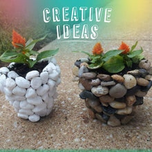 Decorative River Rock Stones (1 Set) - justgrabit.in | Just Grab It