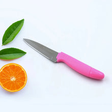 Sharp Fruit Knife (Stainless Steel, Comfortable Grip): 1 Pc - justgrabit.in | Just Grab It