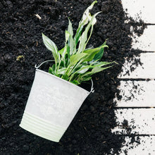 Organic Vermicompost Black Soil for Plants Health Manure (1 KG Approx) - justgrabit.in | Just Grab It