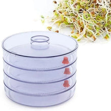 Plastic 4 Compartment Sprout Maker, White - justgrabit.in | Just Grab It