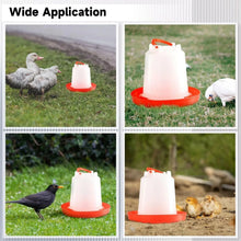 Automatic Chicken Drinker Chicken Feeder with Humanized Handle - Justgrabit Inc.