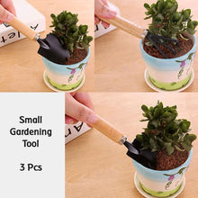 Small sized Hand Cultivator, Small Trowel, Garden Fork (Set of 3) - Justgrabit Inc.