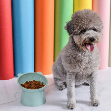 Plastic Multipurpose Bowl, Food Bowls (1 Pc) - justgrabit.in | Just Grab It