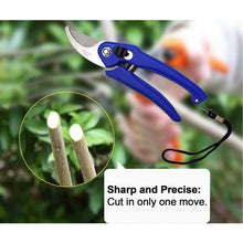 Garden Shears Pruners Scissor for Cutting Branches, Flowers, Leaves, Pruning Seeds - Justgrabit Inc.