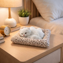 Soft Plush Cute Cat Car Dashboard Showpiece Toy (1 Pc) - justgrabit.in | Just Grab It