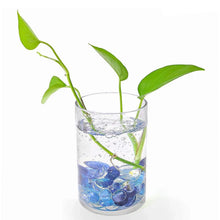 Glass Gem Stone, Flat Round Marbles Pebbles for Vase Fillers, Attractive pebbles for Aquarium Fish Tank. - Justgrabit Inc.