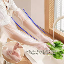 Disposable Plastic Gloves For Kitchen Food Handling (1 Pair) - Justgrabit Inc.