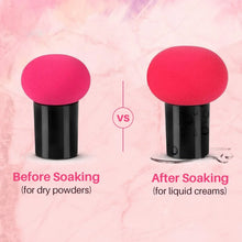 Professional Makeup Sponge Puff with Handle (1 Pc) - Justgrabit Inc.