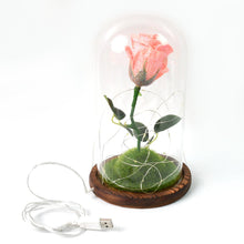 Glass Flower with Led Light Great Gift (1 Set) - justgrabit.in | Just Grab It