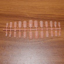 Elegant Nude Glossy Artificial Nail Tips fake nails (24 Pc Set) - justgrabit.in | Just Grab It