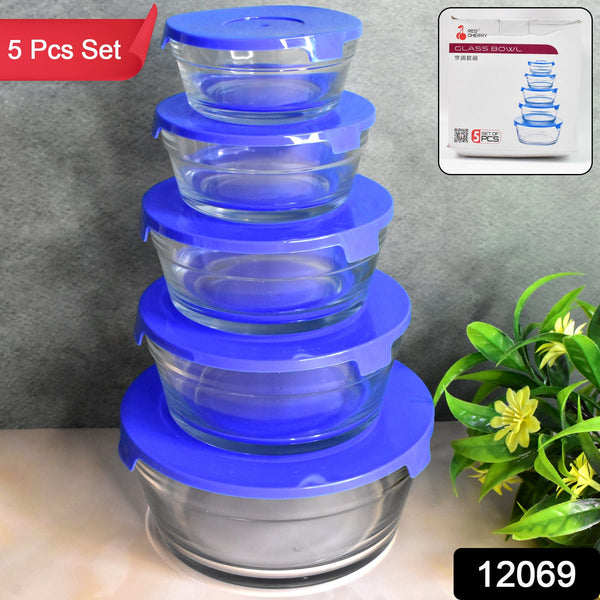 Modern Glass Bowl Set Mixing / Storage Bowls with Lids (5 Pcs Set) - justgrabit.in | Just Grab It