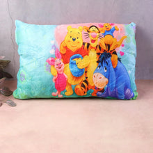 Soft Plush Cartoon Character Kids Pillow (40 x 25 Cm / 1 Pc) - justgrabit.in | Just Grab It