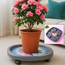 Supermom Plastic Multi Purpose Heavy Duty Gas Cylinder Trolley - Justgrabit Inc.