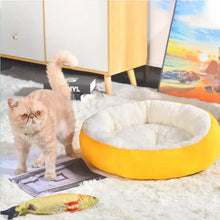 Pet Dog Bed General Thickening Dog Mat (1 Pc / Mix Design & Color) - justgrabit.in | Just Grab It