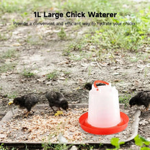 Automatic Chicken Drinker Chicken Feeder with Humanized Handle - Justgrabit Inc.