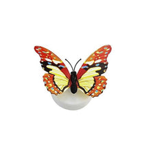 The Butterfly 3D Night Lamp Comes with 3D Illusion Design (1 Pc / Loose) - justgrabit.in | Just Grab It