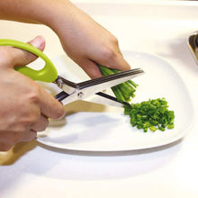 Multifunction Vegetable Stainless Steel Herbs Scissor with 3 Blades - justgrabit.in | Just Grab It