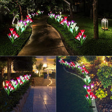 Waterproof Outdoor Solar Lily Flower Stake Lights ( Pack Of 2 pcs ) - justgrabit.in | Just Grab It