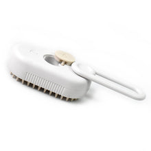 Electric Spray Handle Massage Brush, Hair Removal Brush Steam (1 Pc) - justgrabit.in | Just Grab It