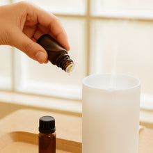 Premium Aroma Diffuser Essential Oil (10ML / 1 Pc) - justgrabit.in | Just Grab It