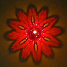 Candle Cup with Multi Shape, Diwali (Multicolor) (12 Pcs Set) - justgrabit.in | Just Grab It