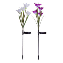 Waterproof Outdoor Solar Lily Flower Stake Lights ( Pack Of 2 pcs ) - justgrabit.in | Just Grab It