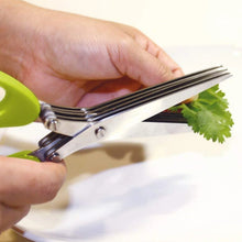 Multifunction Vegetable Stainless Steel Herbs Scissor with 3 Blades - justgrabit.in | Just Grab It