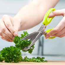 Multifunction Vegetable Stainless Steel Herbs Scissor with 3 Blades - justgrabit.in | Just Grab It