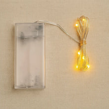 Multicolor 2AA Battery Powered, Copper Wire String Fairy Lights with 30 LEDs - Justgrabit Inc.