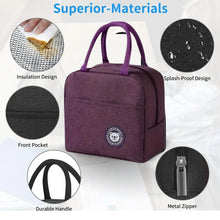 Lunch Box Bag for Women Men Insulated Lunch Bag With Zipper (1 Pc) - Justgrabit Inc.