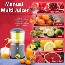Ritu Hand Operated Compact Manual Juicer (Multicolor / 1 Pc) - Justgrabit Inc.