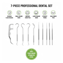 7 IN 1 STAINLESS STEEL TOOTHPICK FLOSSIER SET (1 SET / With Case) - justgrabit.in | Just Grab It