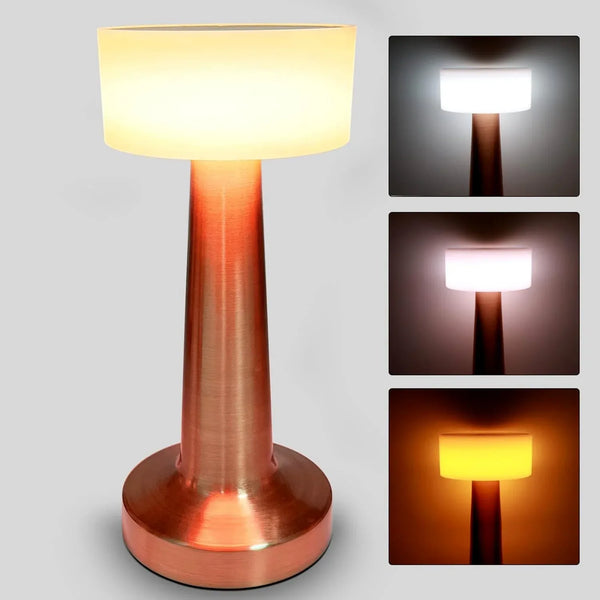 LED Lamp with Touch Control | Decorative Desk Lamp, Portable Metal LED Table Lamp, USB Rechargeable, 3 Color, 3 Levels Brightness, Dimmable Eye Protection Modern Lamp for Home Decor Party Kids Room Bedroom (1 Pc) - justgrabit.in | Just Grab It