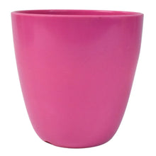 Plastic Flower Valencia (Pot) Home and Outdoor (1 Pc/Mix Colour) - Justgrabit Inc.