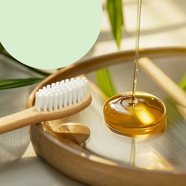 Eco - Friendly Natural Bamboo Toothbrush with Medium Bristles (2 Pc) - Justgrabit Inc.