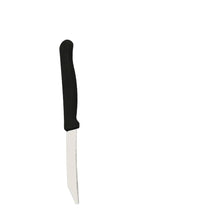 Stainless Steel Electronic Gas Lighter and Knife (2 in 1) - Justgrabit Inc.