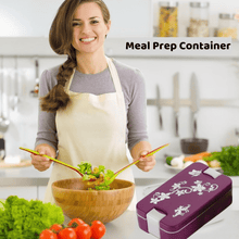 Leak - Proof Airtight Lunch Box with Spoon, 2 Compartments - justgrabit.in | Just Grab It