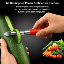 Multipurpose 2 - in - 1 Stainless Steel Knife & Peeler (1 Pc) - justgrabit.in | Just Grab It