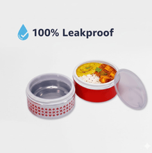 2 Layer Insulated Lunch Box Tiffin - justgrabit.in | Just Grab It