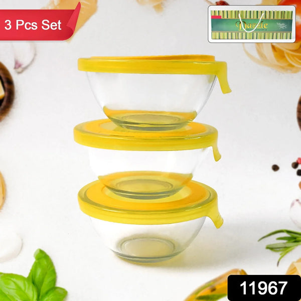 Dazzle Glass Bowl Set Mixing / Storage Bowls with Lids (3 pcs Set) - Justgrabit Inc.