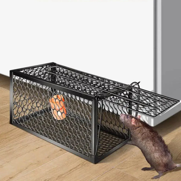 Foldable Live Mouse Trap – Easy Catch & Release Cage for Mice, Squirrels, Voles & Hamsters - justgrabit.in | Just Grab It