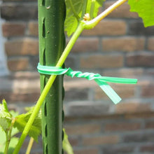 Plastic Twist Tie Wire Spool With Cutter For Garden Yard Plant 30m (Green) - Justgrabit Inc.