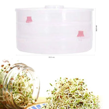 Plastic 3 Compartment Sprout Maker, White - Justgrabit Inc.