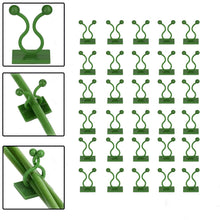 30pcs wall Plant Climbing Clip widely used for holding plants and poultry purposes and all (Box/30 Pcs Set) - Justgrabit Inc.