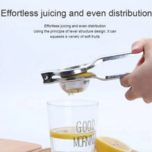 Lemon Squeezer Steel Polish - justgrabit.in | Just Grab It