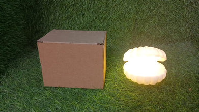 Pearl Shell Night Lamp Decorate Desk Lights For Bedroom & Home - justgrabit.in | Just Grab It