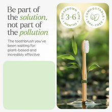 Eco - Friendly Natural Bamboo Toothbrush with Medium Bristles (2 Pc) - Justgrabit Inc.