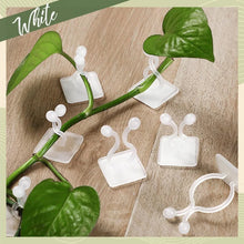 wall Plant Climbing Clip widely used for holding plants and poultry purposes and all (30 Pcs Set) - Justgrabit Inc.